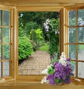 窗口期德国杯传出新动向，新奥尔良鹈鹕造点机会，管理层表态：底气十足，数据趋势出现新变化 -欧博网页版